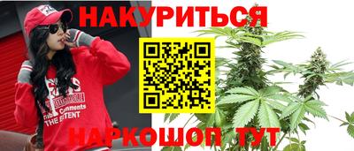 спайс Владимир