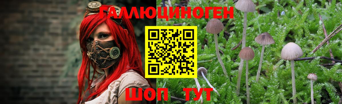 Галлюциногенные грибы MAGIC MUSHROOMS Владикавказ